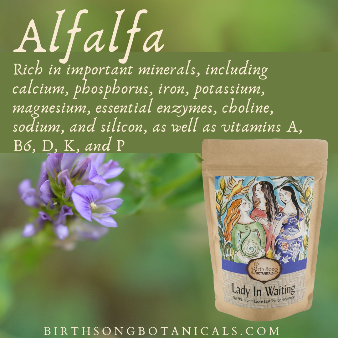 Lady in Waiting Herbal Pregnancy Tea Supports a Healthy Pregnancy* with Organic Red Raspberry Leaf 4 oz.