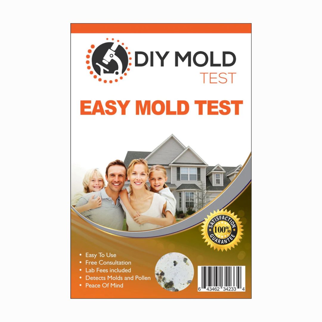 DIY Mold Test