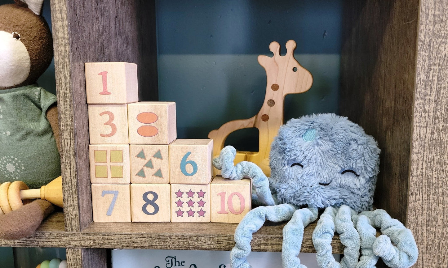 Boho Number + Counting Shape Blocks