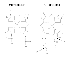 Energizing Chlorophyll Liquid Drops, Peppermint Flavored, Natural Energy, Skin Health, Immune Support* 1 oz.