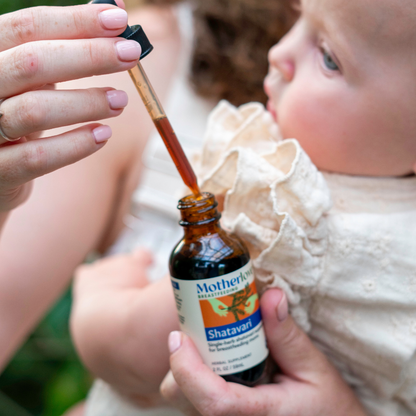 Shatavari - Tincture
