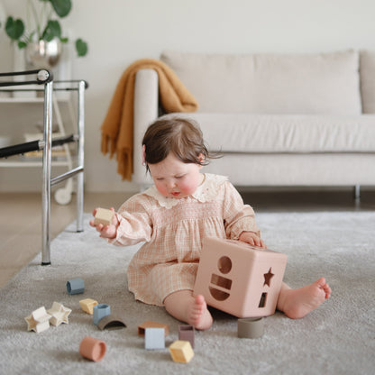 Shape Sorting Box