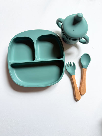 Silicone Plates