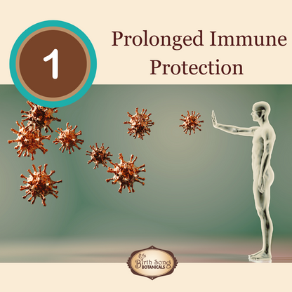 Astragalus Root Complex Immune Support Supplement*