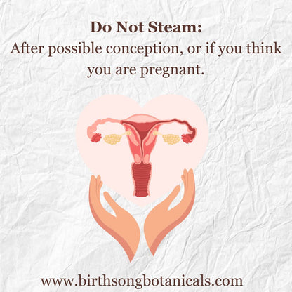 Yoni Steam for Fertility* Organic Herbal Vaginal Steaming Blend to Support Fertility and Womb Health, V Steam Herb, Vaginal and Uterine Care 3 oz.