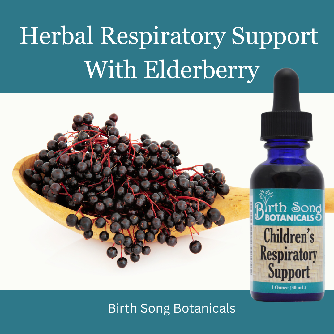 Children's Respiratory Support Herbal Tincture to Support Healthy Lungs* with Elderberry 1 oz.