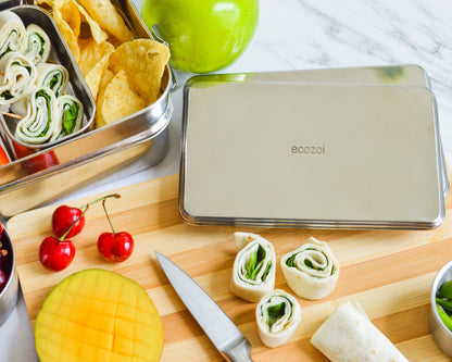 Stainless Steel Freezer PACKS FOR LUNCH Boxes and Lunch Bags, 2 Pack