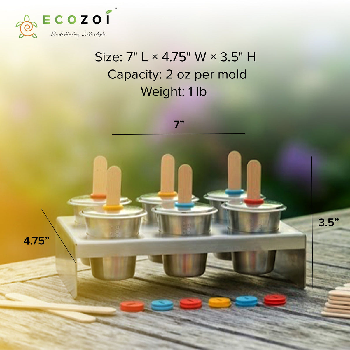 Stainless Steel Popsicle Molds, 6 Mini Rounds with Reusable Stainless Steel Sticks