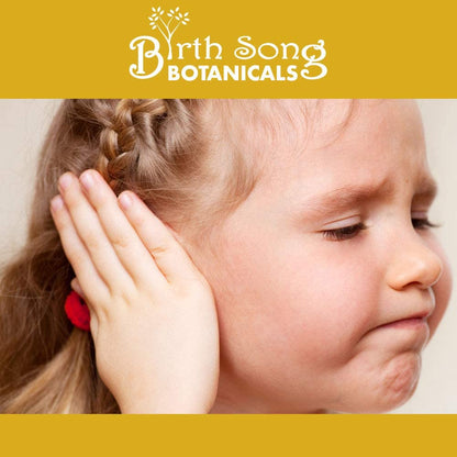 Herbal Ear Oil, Natural Ear Drops, Blended with Garlic and Mullein Flowers, for Swimmers and Wax Removal 1 oz.