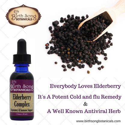 Elderberry Complex Tincture Potent Herbal Immune Support Supplement to Maintain Health and Well-Being* 1 oz.
