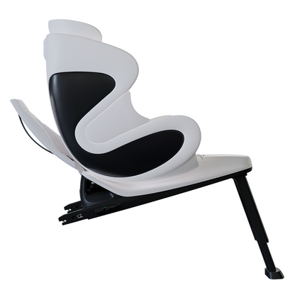 The babyark Advanced Convertible Car Seat