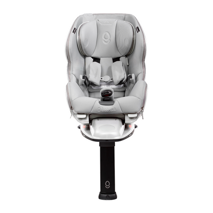 The babyark Advanced Convertible Car Seat