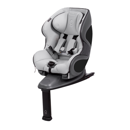The babyark Advanced Convertible Car Seat
