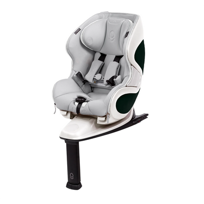 The babyark Advanced Convertible Car Seat