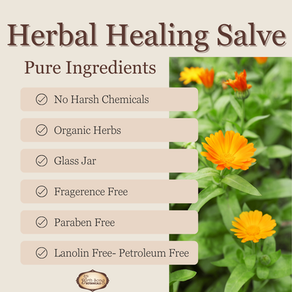Herbal Salve- All Natural First Aid Ointment Made with Calendula and Plantain, Good For All Skin Types, Unscented