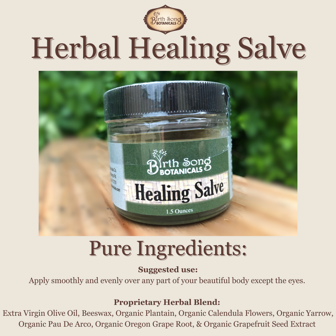 Herbal Salve- All Natural First Aid Ointment Made with Calendula and Plantain, Good For All Skin Types, Unscented