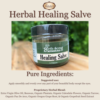 Herbal Salve- All Natural First Aid Ointment Made with Calendula and Plantain, Good For All Skin Types, Unscented