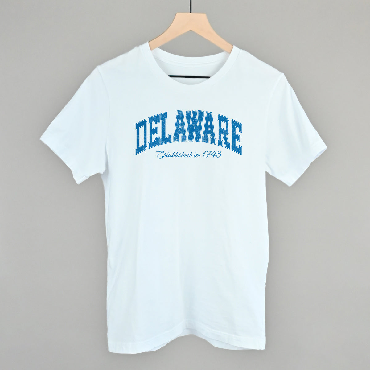 Delaware Varsity Arch