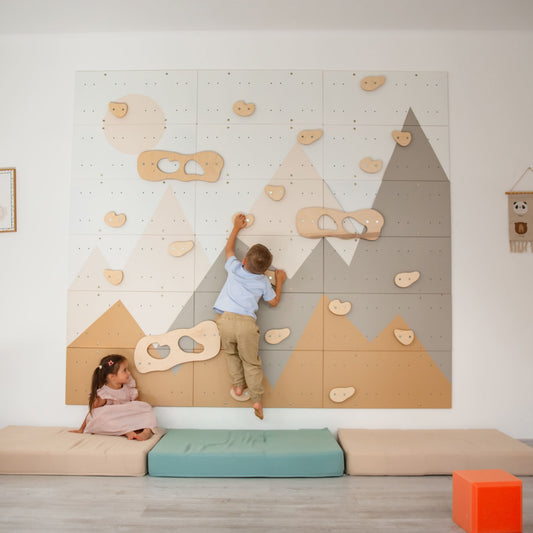Indoor Climbing Wall