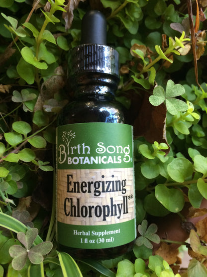 Energizing Chlorophyll Liquid Drops, Peppermint Flavored, Natural Energy, Skin Health, Immune Support* 1 oz.