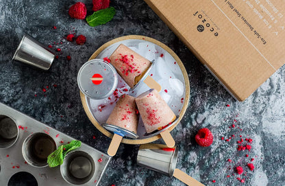 Stainless Steel Popsicle Molds, 6 Mini Rounds with Reusable Stainless Steel Sticks