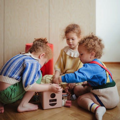 Shape Sorting Box