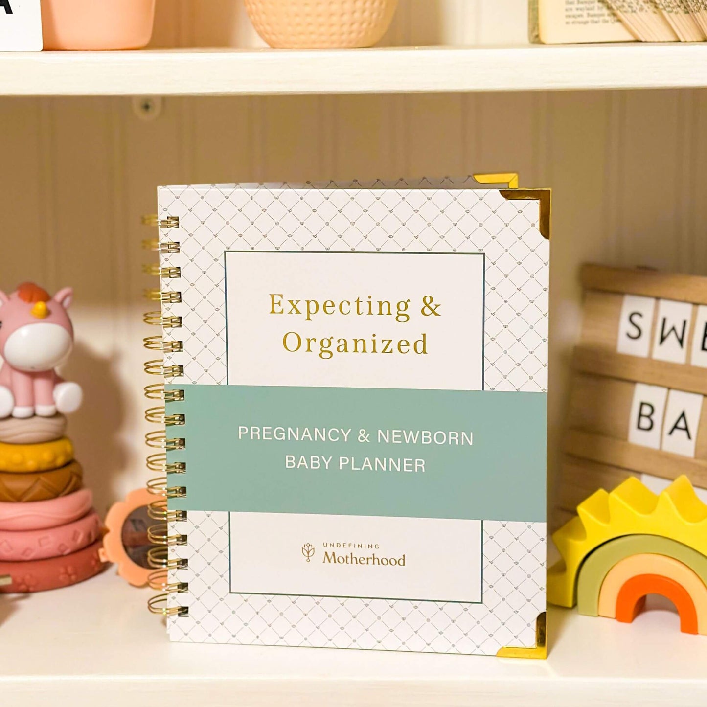 Expecting & Organized: Pregnancy & Baby Planner