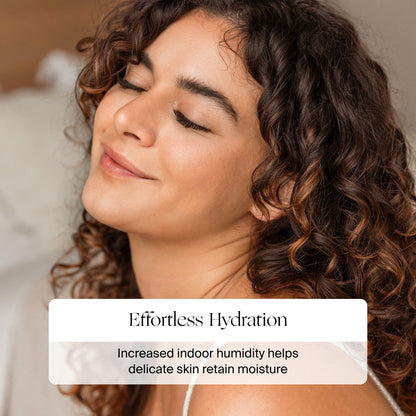 Large Room Humidifier