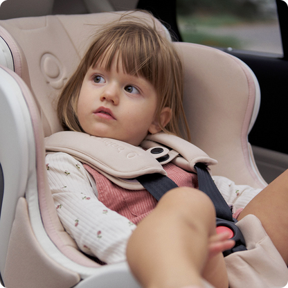 The babyark Advanced Convertible Car Seat