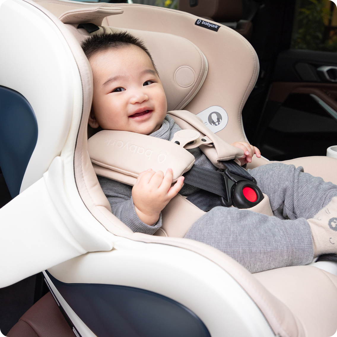 The babyark Advanced Convertible Car Seat