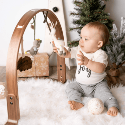 2 pc. stroller toys | amelia & piper