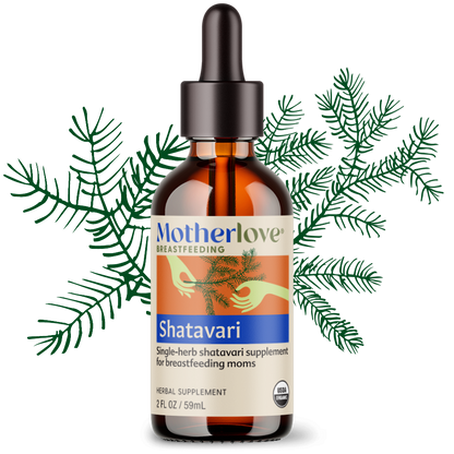 Shatavari - Tincture