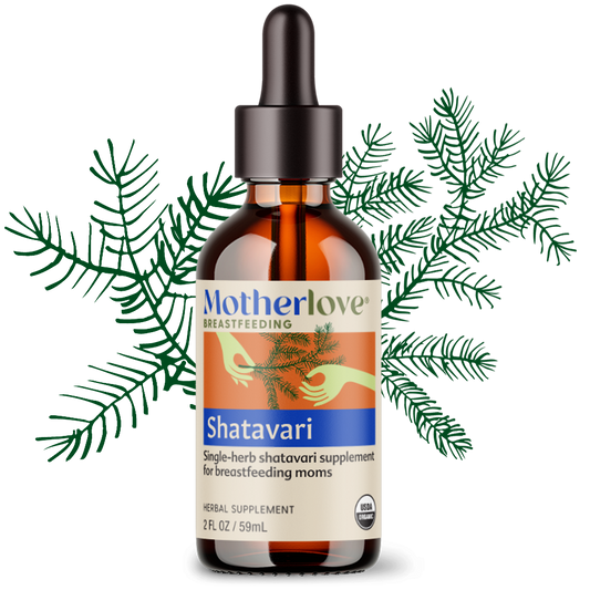 Shatavari - Tincture
