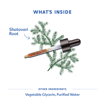 Shatavari - Tincture