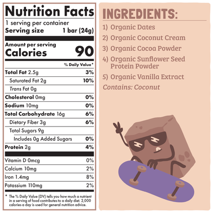 Skout Organic Chocolate Brownie Kids Bar