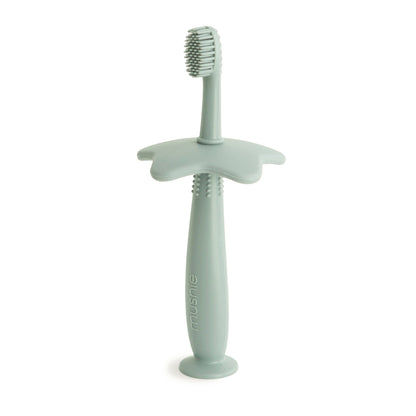 Star Training Toothbrush