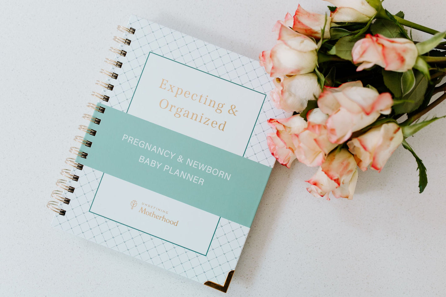 Expecting & Organized: Pregnancy & Baby Planner
