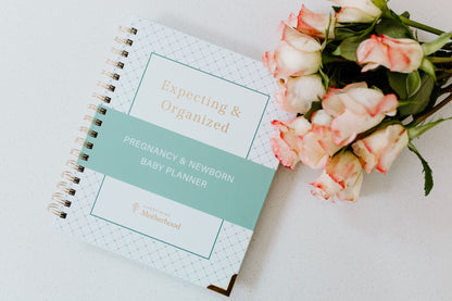 Expecting & Organized: Pregnancy & Baby Planner