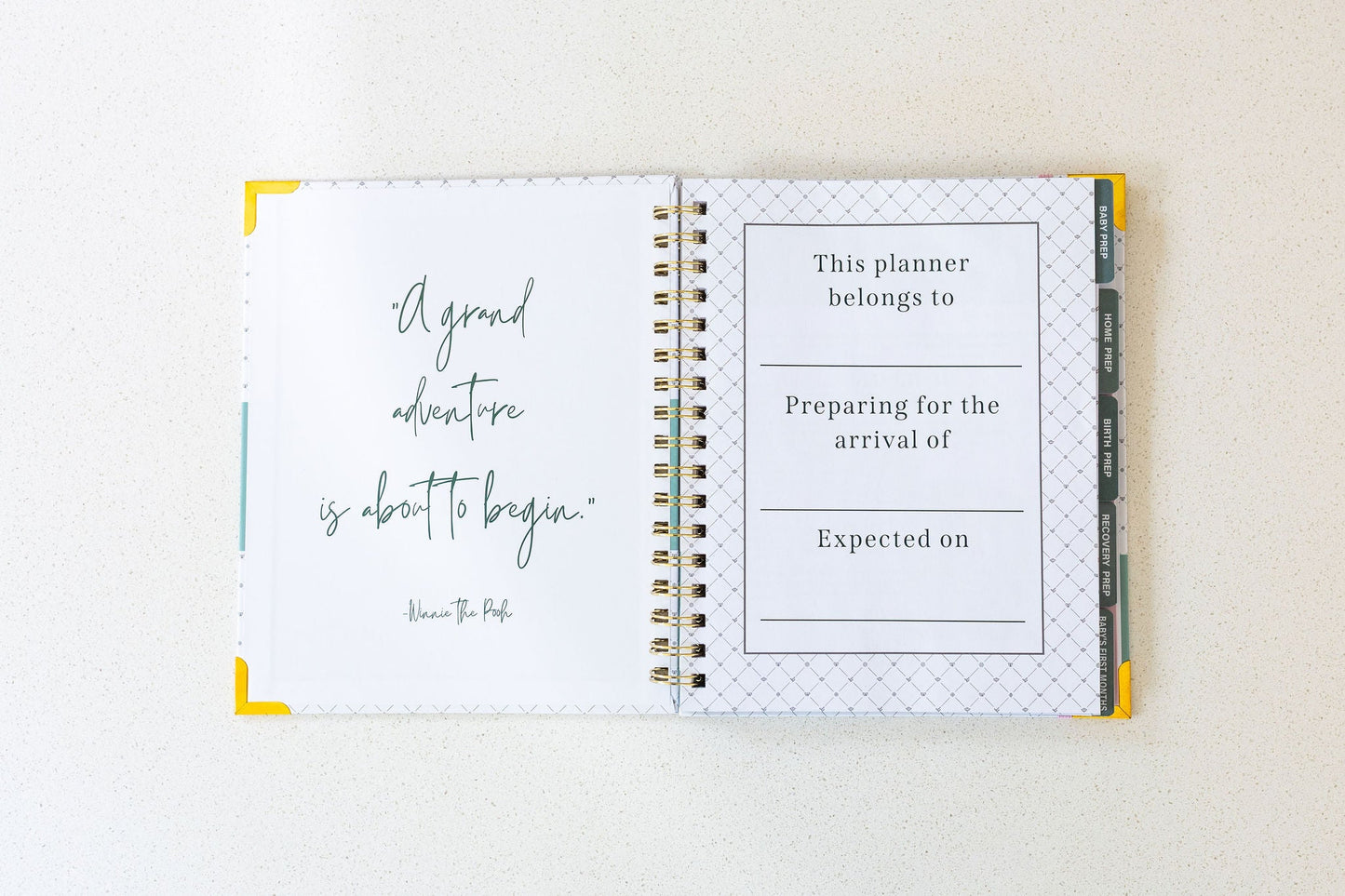 Expecting & Organized: Pregnancy & Baby Planner