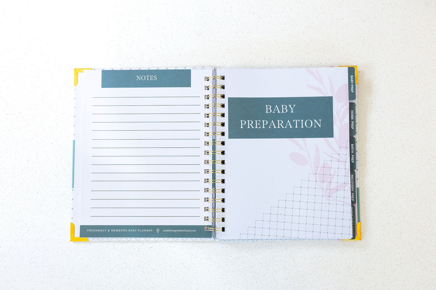 Expecting & Organized: Pregnancy & Baby Planner