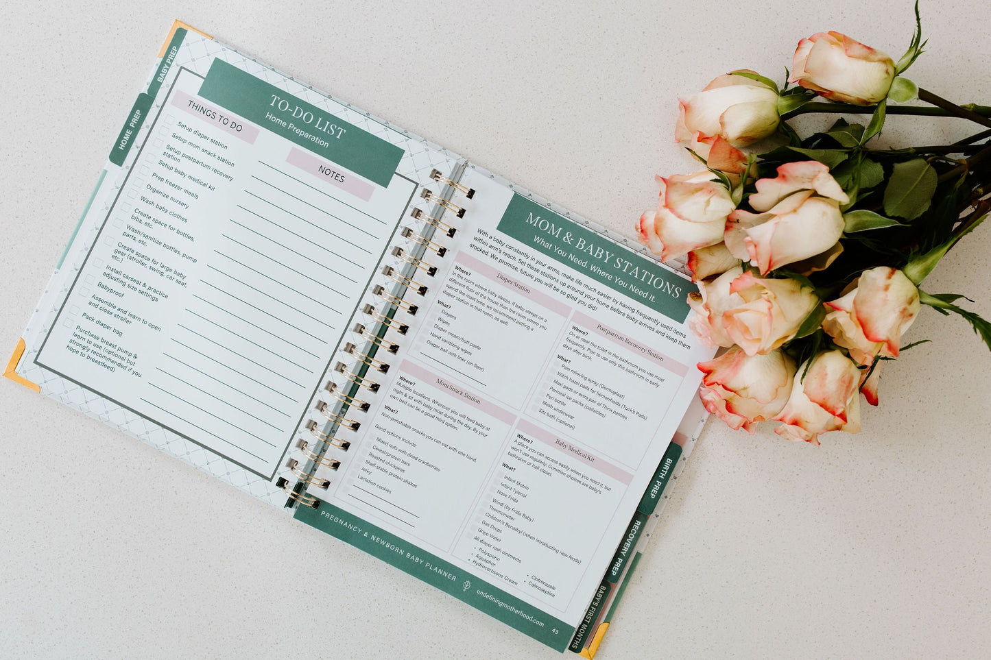 Expecting & Organized: Pregnancy & Baby Planner