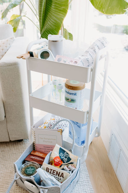 The Postpartum Playbook: Roadmap to Recovery & Renewal After Birth
