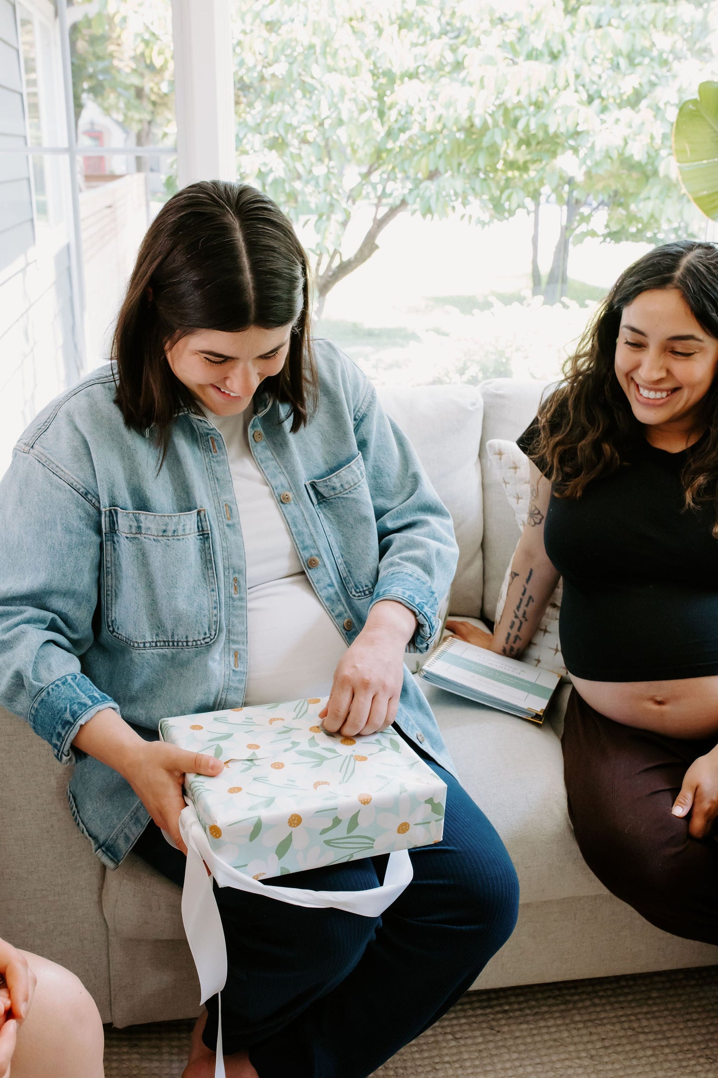 Expecting & Organized: Pregnancy & Baby Planner