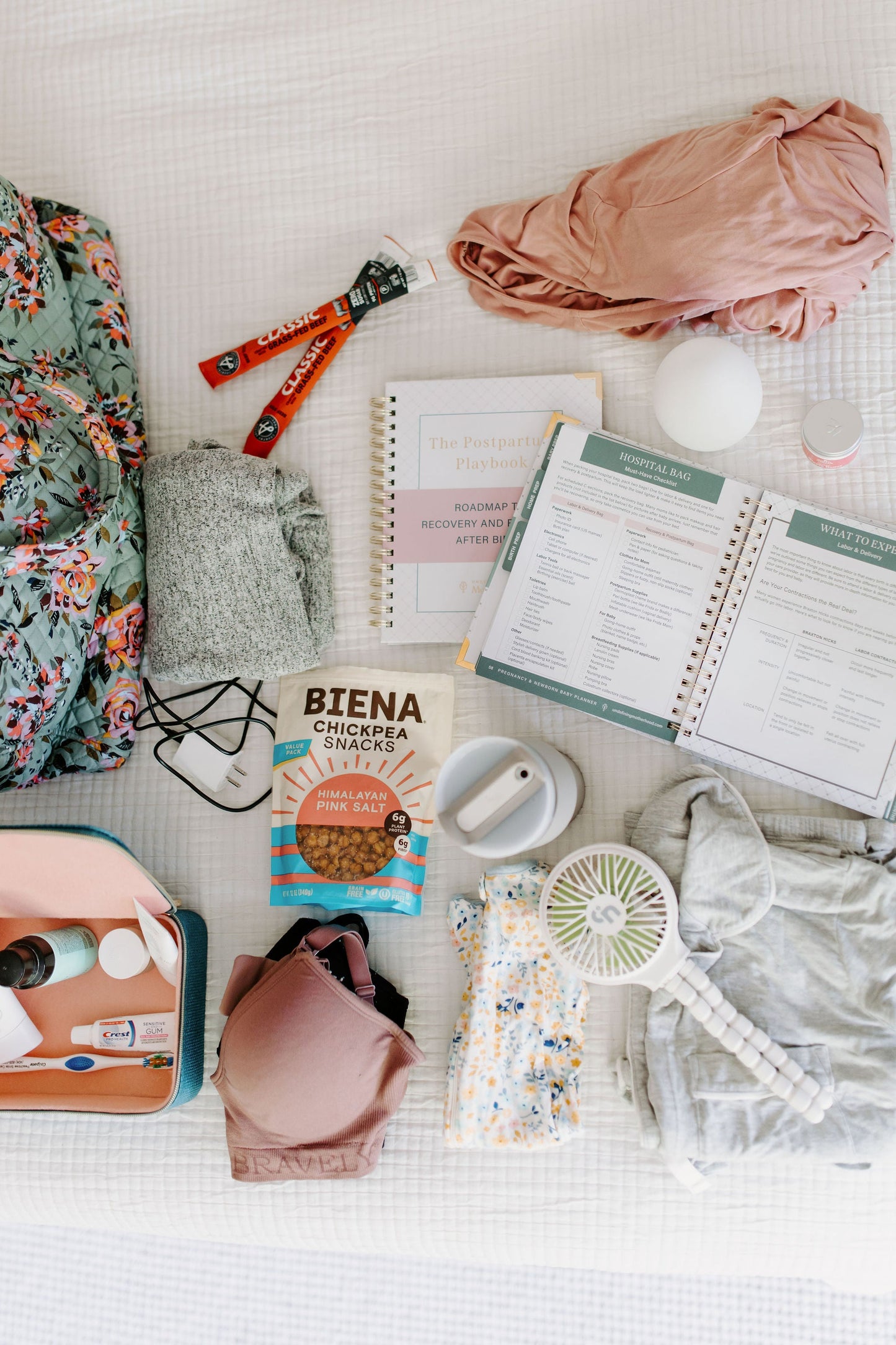 Expecting & Organized: Pregnancy & Baby Planner