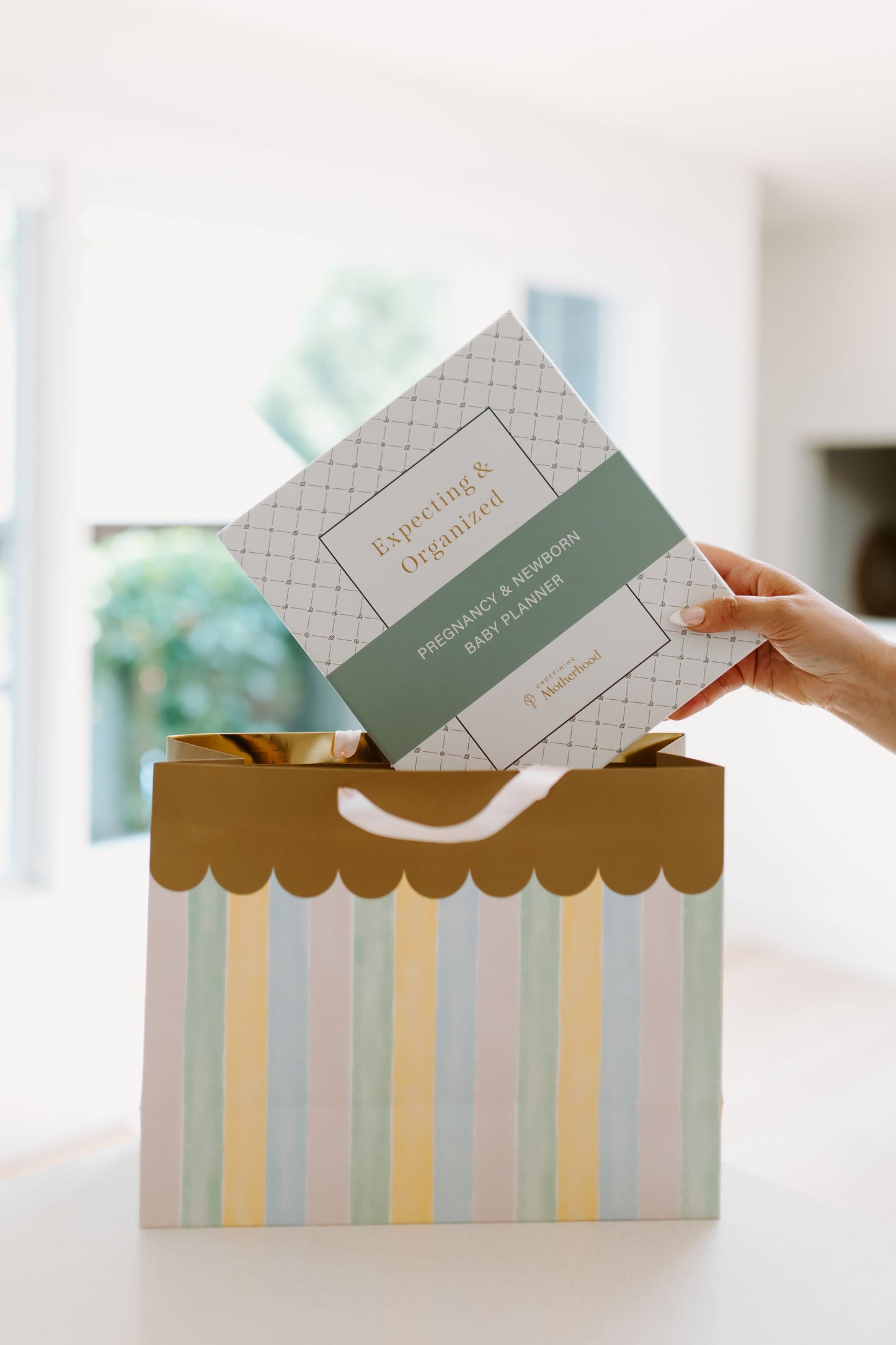 Expecting & Organized: Pregnancy & Baby Planner