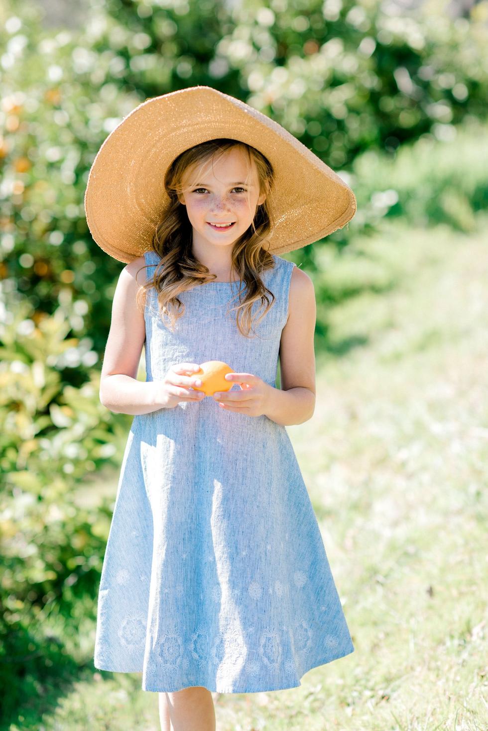 Fit and Flare Dress with Embroidered Hem - Blue Micro Stripe