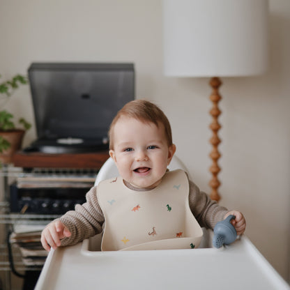 Silicone Fresh Food Feeder