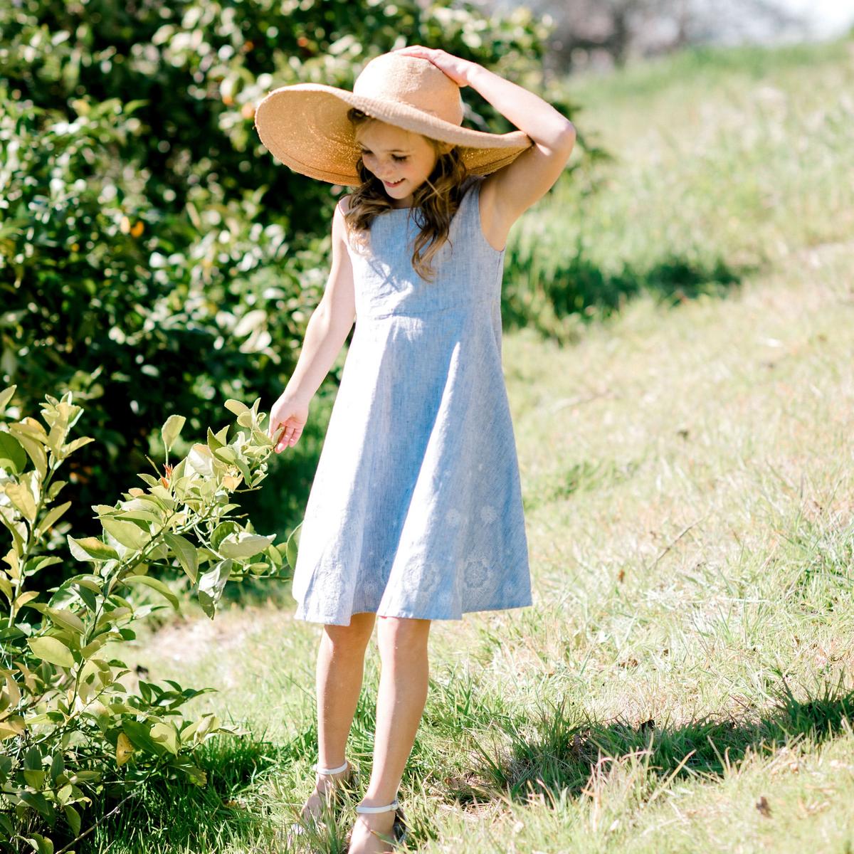 Fit and Flare Dress with Embroidered Hem - Blue Micro Stripe