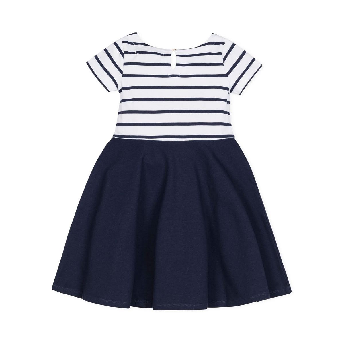 Baby Short Sleeve Organic Knit Skater Dress - White and Navy Stripe