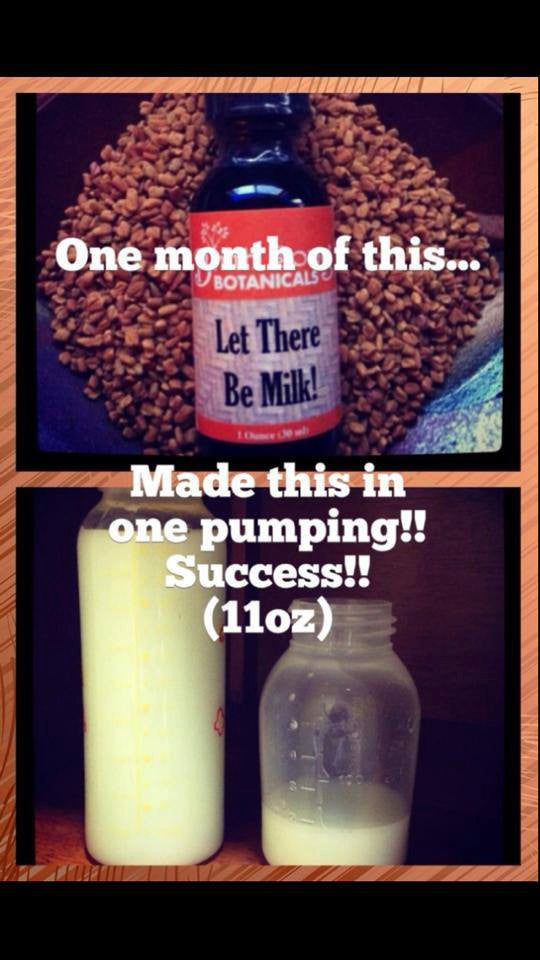 Let There Be Milk! Organic Herbal Breastfeeding Supplement 1 oz.